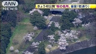 皇居「乾通り」きょう初公開　桜の満開に合わせて(14/04/04)