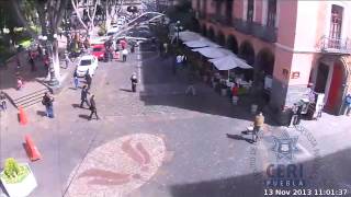 Caída de árbol en zócalo de Puebla