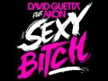 David Guetta feat. Akon - Sexy Bitch Offical Version *High Quality*