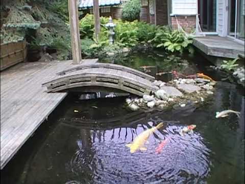 If you enjoyed the above video, check these other water garden ideas 