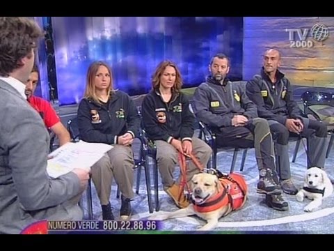 I cani del  Soccorso Alpino e Speleologico