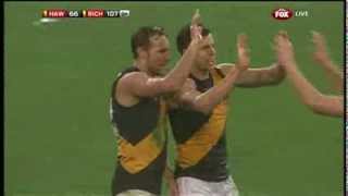 Round 19 AFL - Hawthorn v Richmond Highlights