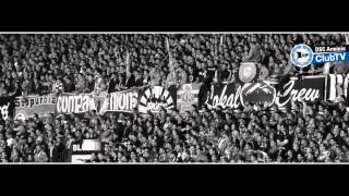 DSC Arminia Bielefeld - Spannung vor Saisonfinale