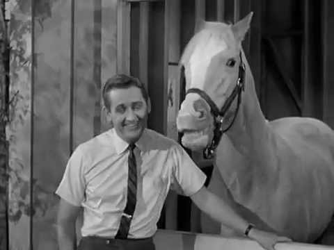 Mr Ed The Talking Horse The Empty Feed Bag Blues - YouTube