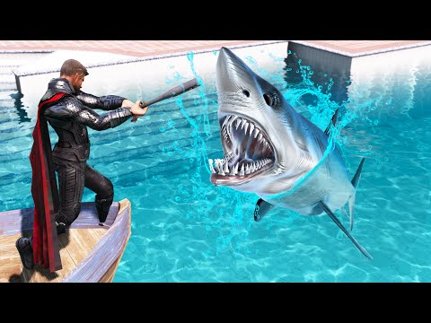 GTA 5 Water Ragdolls | THOR Jumps/Fails #2 (Euphoria Physics | Funny Moments)