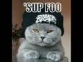 Caturday