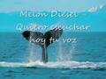 Melon Diesel - quiero escuchar hoy tu voz