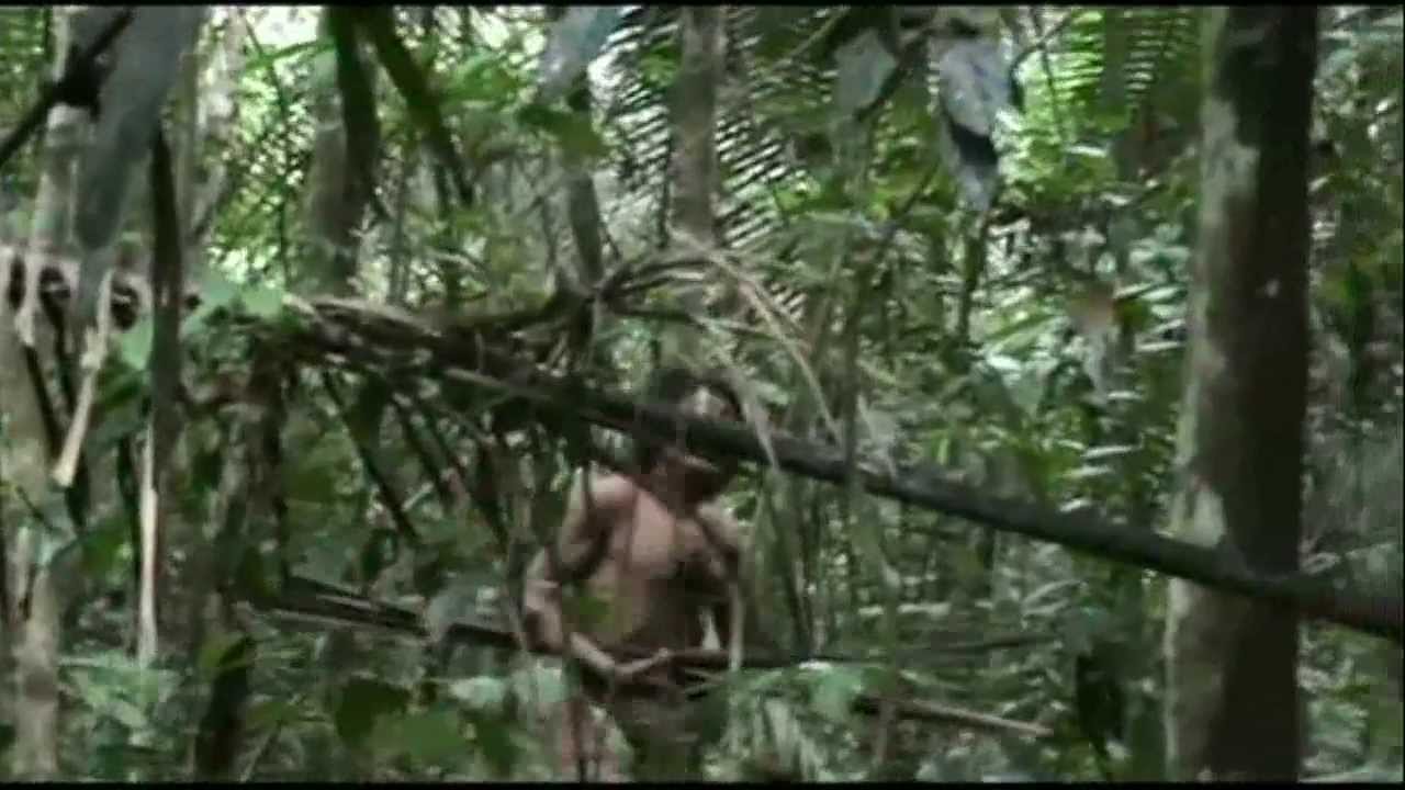 Never-before-seen pictures of the last uncontacted Amazon 