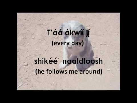 Navajo Puppy Song (Lyrics & Translation)