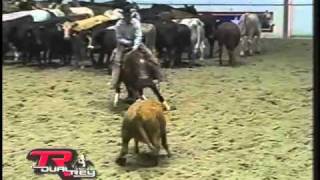 SDP Buffalo Ranch - TR Dual Rey 2003 NCHA Derby Open Reserve CHAMPION