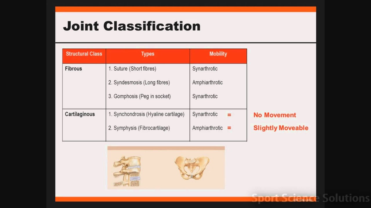 Joint Classification - YouTube