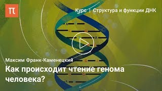 Определение последовательности ДНК