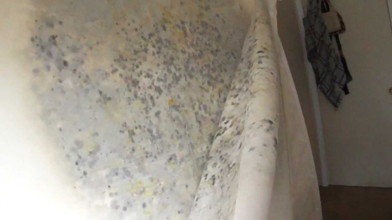 mold under foam mattress