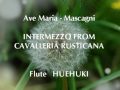 Ave Maria : Cavalleria Rusticana ntermezzo  Mascagni  by Flute