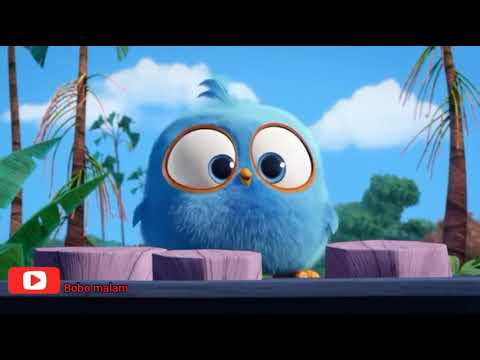 Dance funny Angry birds || Tones And I - Dance Monkey