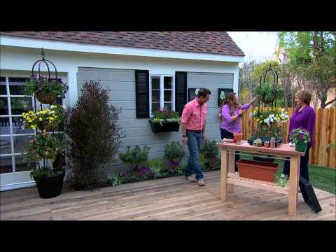 Home & Family - Shirley Bovshow