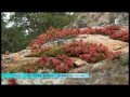 Maquis corse 23 septembre 2013