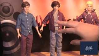  One Direction Singing Dolls Collection, Niall : Toys