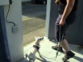 Mon chien attend avant de sortir du jardin