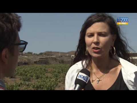 Tg2000 il Post:"Pantelleria ferita" di Fabio Bolzetta