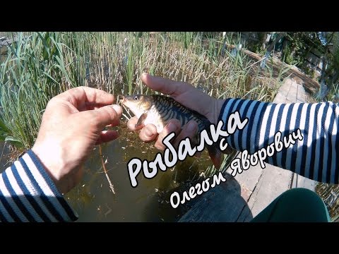 на что ловить карася в конце марта видео на что ловить карася в конце марта видео