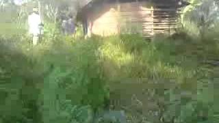 Berburu Babi 1.MP4