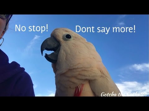 The things he says are hilarious! LOL | *subtitled*