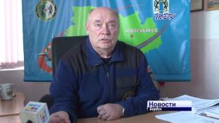 Задержанному руководителю конного клуба «Аллюр» в Бердске грозит 10 лет тюрьмы