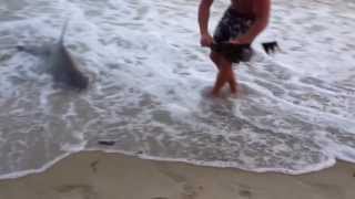 Man Wrestles Shark With Bare Hands HD (Official Video!)