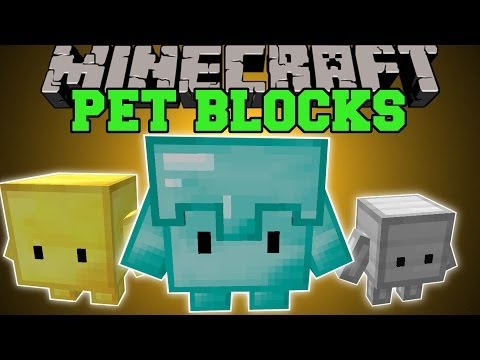 Minecraft: PETS BLOCKS (LEVEL THEM AND EVOLVE THEM!) Mod Showcase