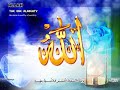 مسعود كرتس في جوف الليل.wmv