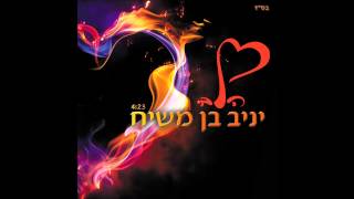 יניב בן משיח - הלב