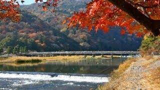 Autumn Colors in Japan 2012 ［日本の紅葉 まとめ］