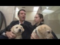 RMR: Rick and Guide Dogs