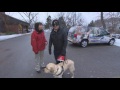 RMR: Rick and Guide Dogs