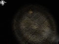 Theblackgamer97 in giochi: Eye e la saga di Harry potter Ahahah