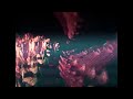 Tame Impala - Elephant (Official Video)