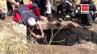 23.06.13 Bomberos CM rescatan a un caballo atrapado en un pozo. Galapagar