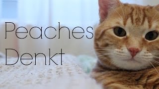 Peaches denkt (neue Serie)