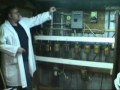 THC Seeds How to Grow Marijuana Part 1 of 5