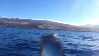 Kayak Fishing Hawaii