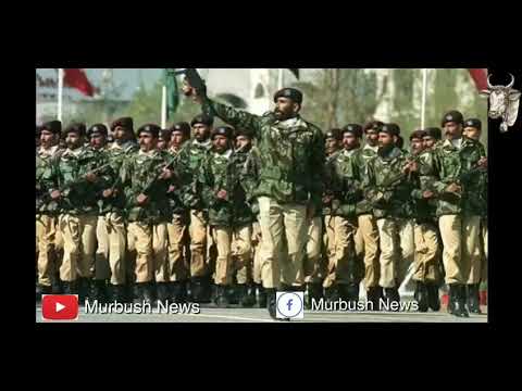Pakistan vs India funny defense analysis by murbush kaka