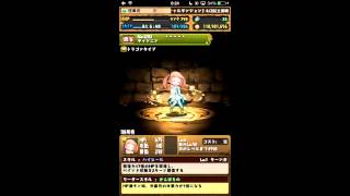 パズドラ【パズバトコラボ】レアガチャ　その１　7回（理事長）