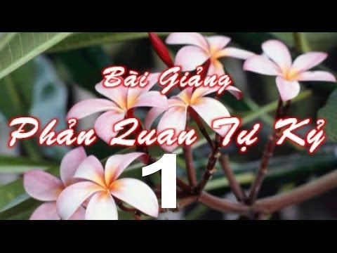 Phản Quan Tự Kỷ (Kỳ 1)