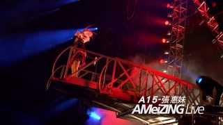 A15 ─ 張惠妹 AMeiZING Live DVD 【日出+好膽你就來+三天三夜】