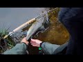 Part 2. Moments from the Mörrumriver 2012 - fly fishing for big salmon and sea trout. Part 2