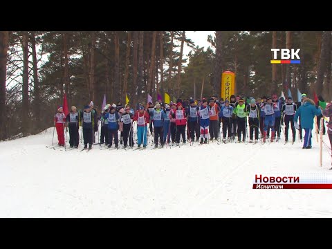 Искитим впервые принял участие в «Лыжне России» Искитим впервые принял участие в «Лыжне России»