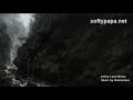 Sounds from a bamboo grove in summer - softypapa adventures
