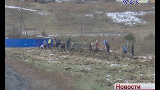 Маньчжурский орех, черёмуха мака и другие саженцы. В д. Ургун местные жители и работники АО «Сибирский Антрацит» высадили 800 деревьев