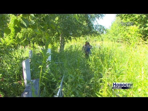 Новое кладбище Бердска зарастает травой Новое кладбище Бердска зарастает травой
